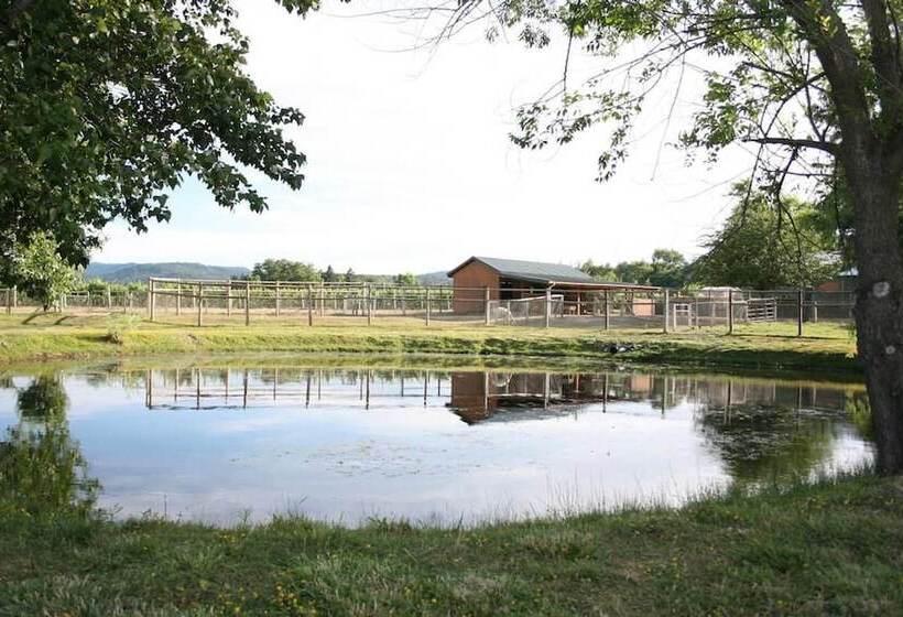 Rellik House. Winery And Alpaca Farm