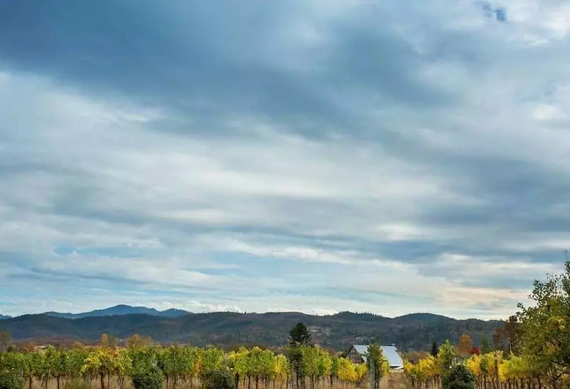 Rellik House. Winery And Alpaca Farm