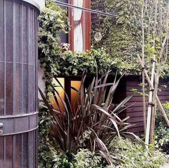 Sango Katase Guest Rooms