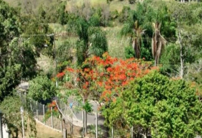 Village Dos Pássaros