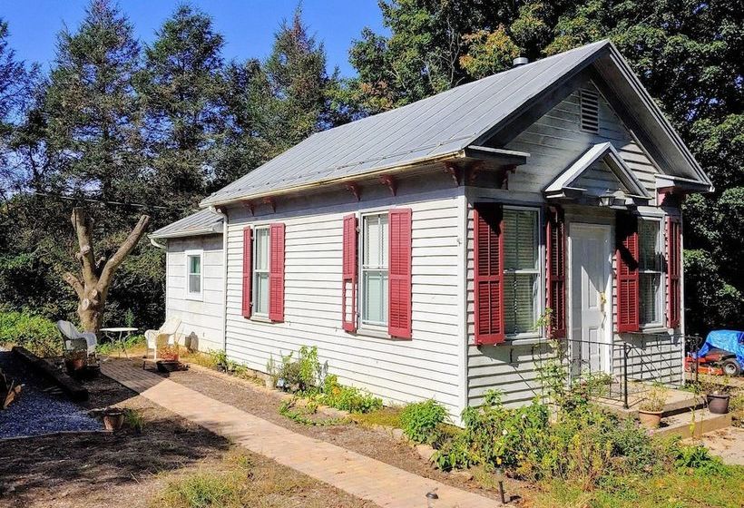 White_fence_english_ivy_cottage