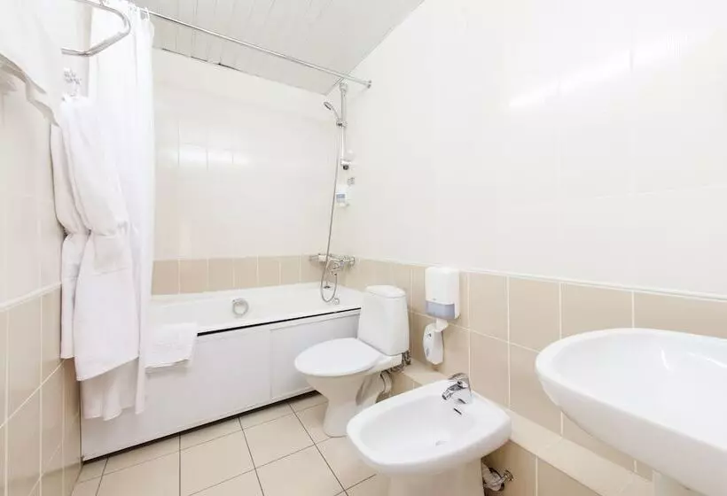 酒店 Delta Business