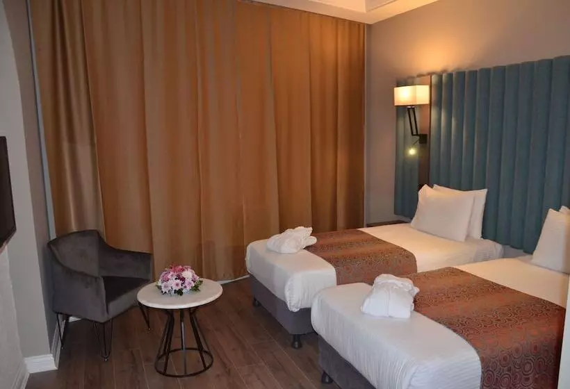 호텔 Ortakoy Princess