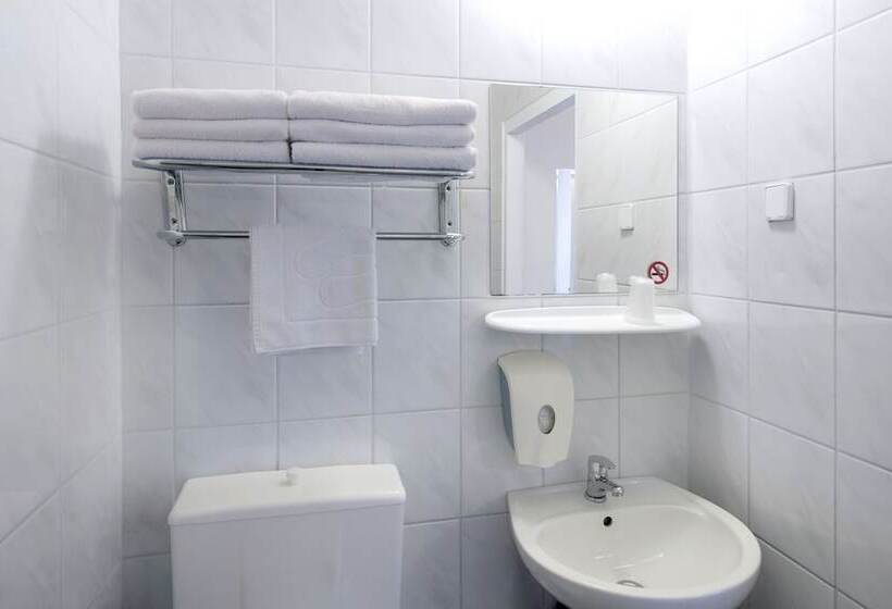 בית מלון כפרי Aramis