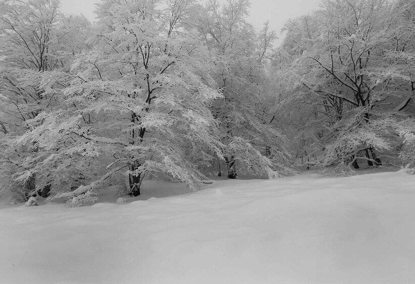 住宿加早餐 Centro De Ecoturismo Tierra Del Agua