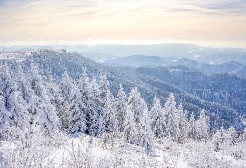 בית מלון כפרי Hapimag Ferienwohnungen Unterkirnach