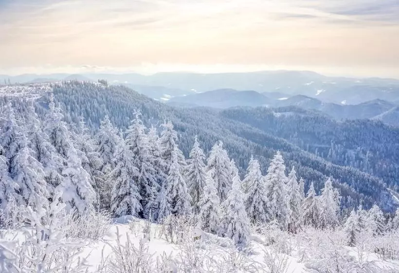 Hotelli Hapimag Ferienwohnungen Unterkirnach