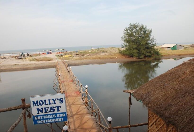 בית מלון כפרי Molly's Nest