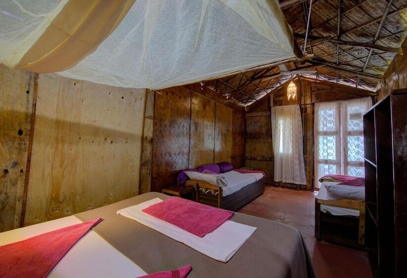 בית מלון כפרי Molly's Nest