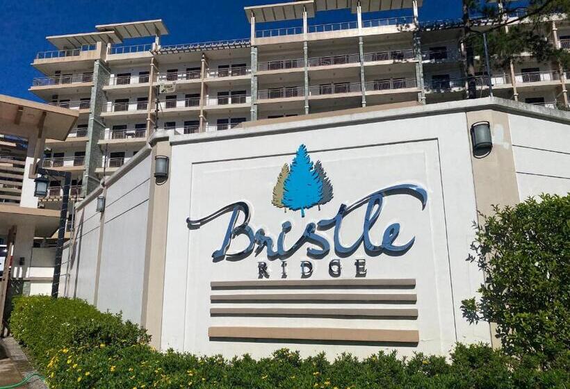 Rosarich Homestay Bristle Ridge Residences