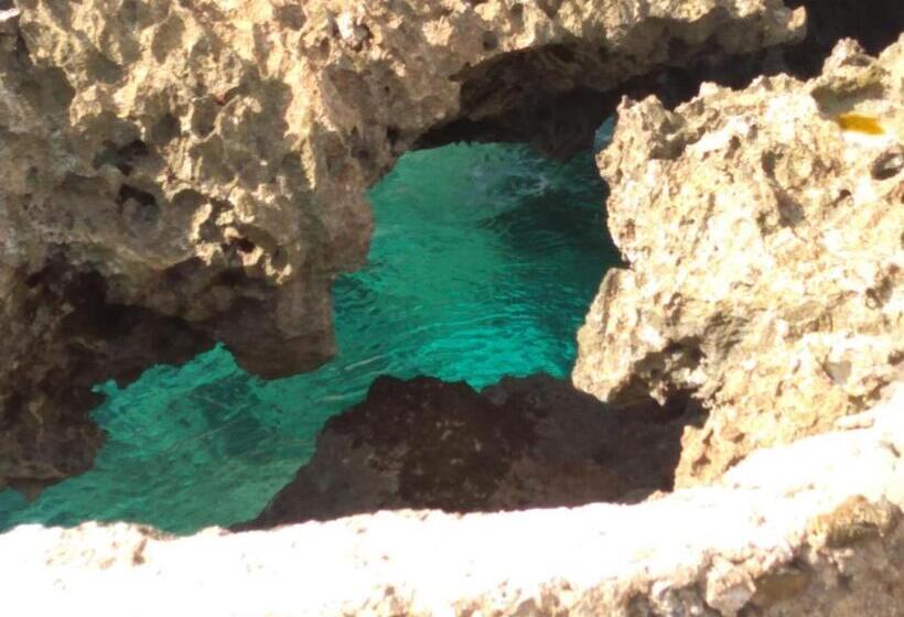 هاستل La Cueva Del Che