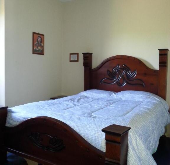 هاستل La Cueva Del Che