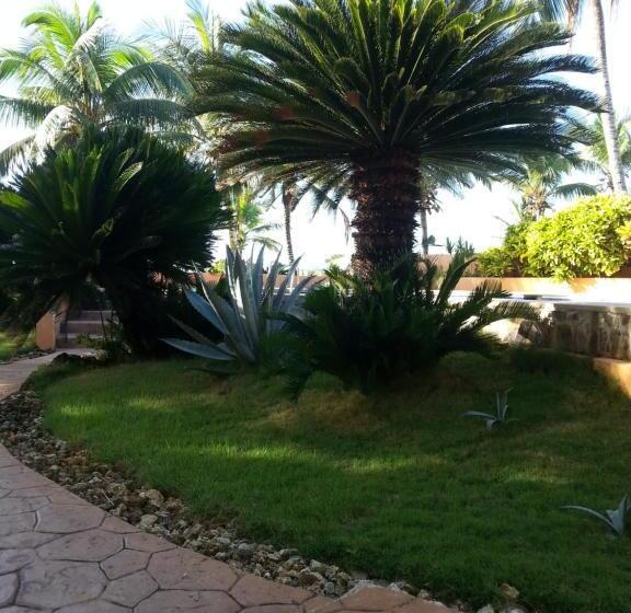 هاستل La Cueva Del Che