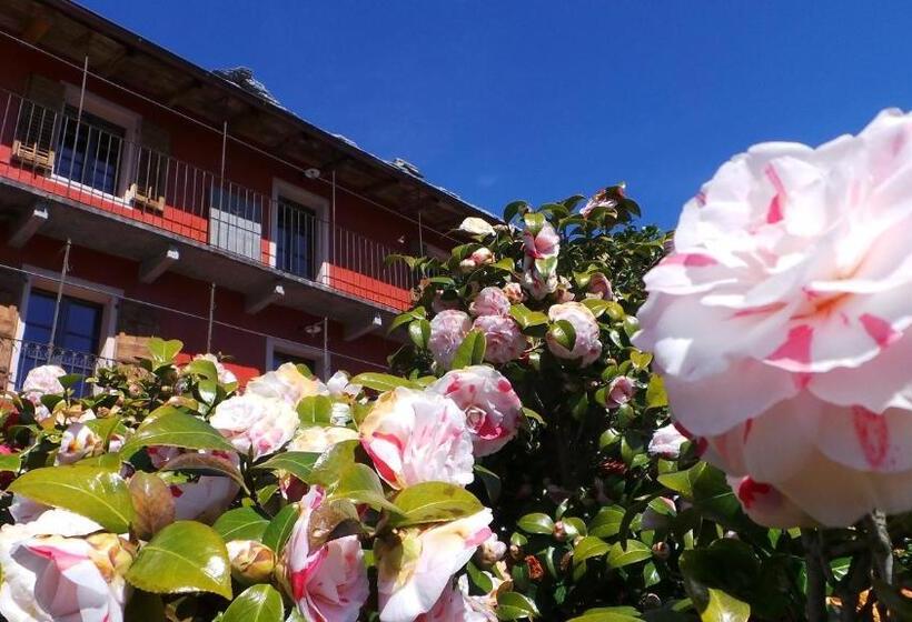 Bed and Breakfast Case Di Sotto, House & Breakfast