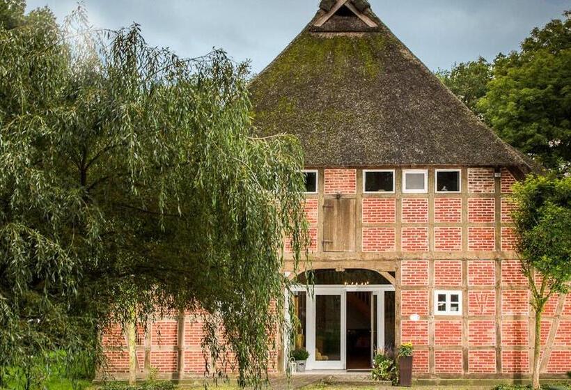 Davidshof, Bed & Breakfast