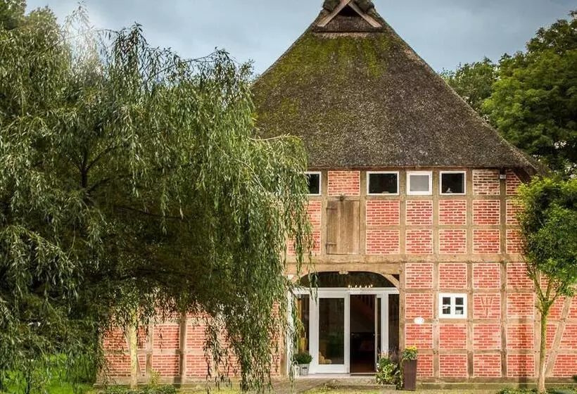 Davidshof, Bed & Breakfast