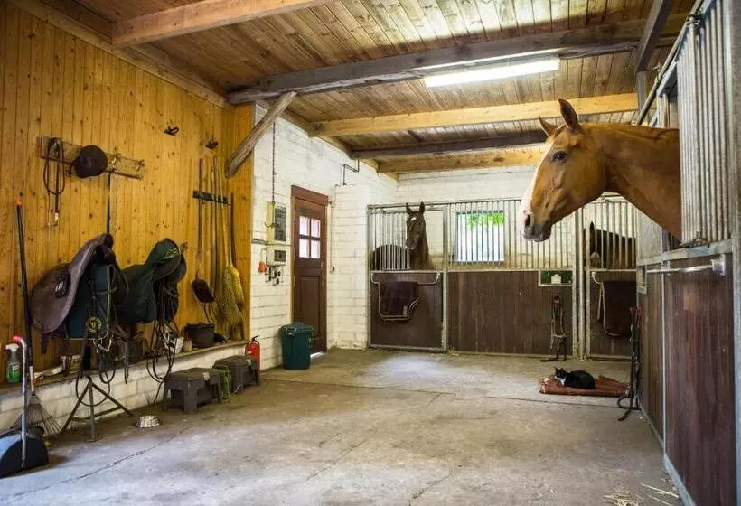 Davidshof, Bed & Breakfast