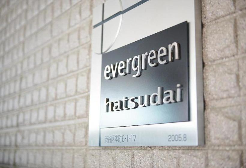 Evergreen  Hatsudai