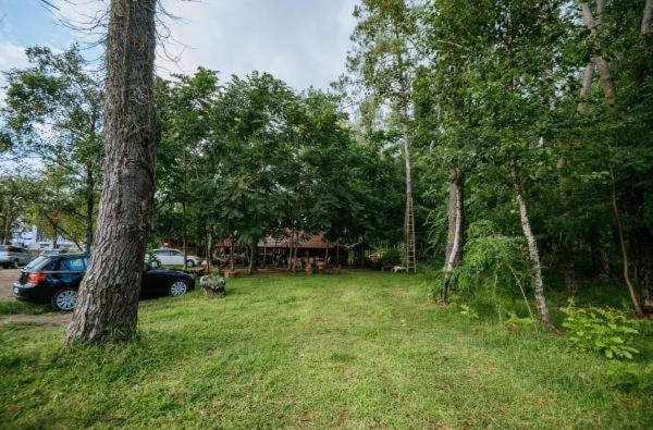 پانسیون Shekhvetili Cottages 2n