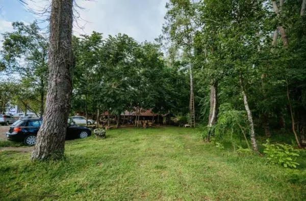 پانسیون Shekhvetili Cottages 2n