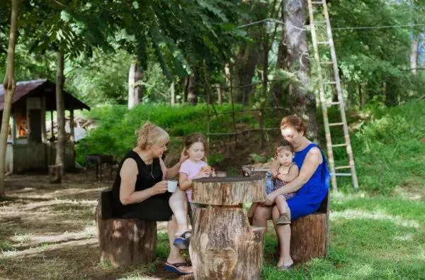 پانسیون Shekhvetili Cottages 2n