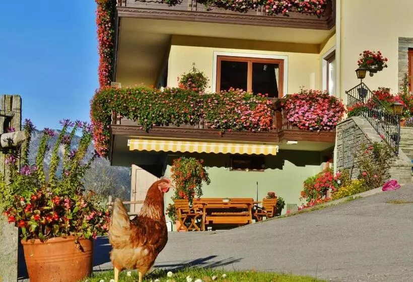Pension Spreitzhof & Appartement Royer