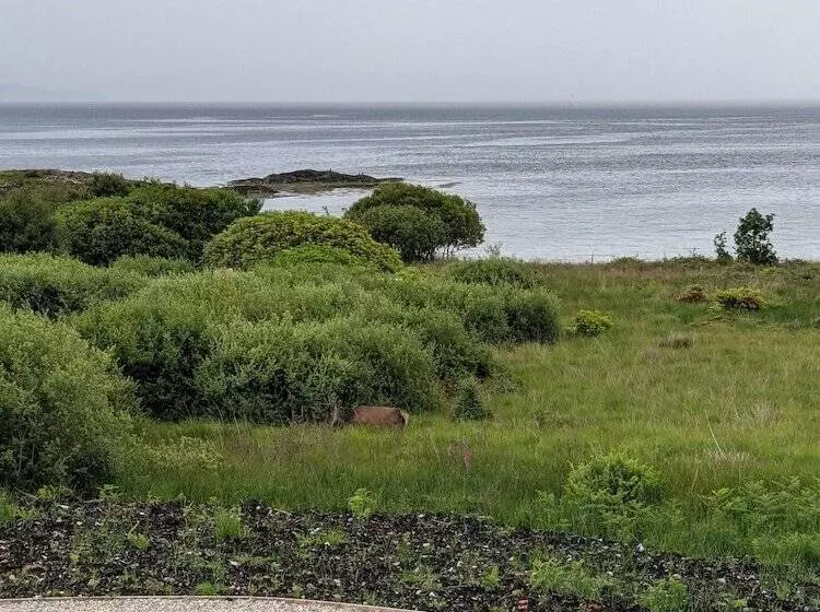 Isle Of Mull Hotel And Spa