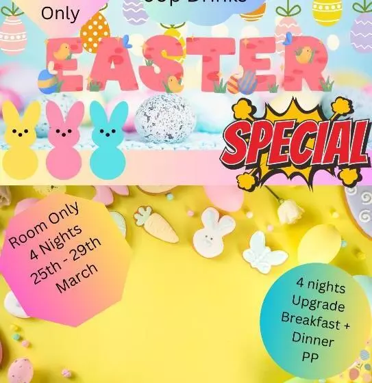 هتل The President