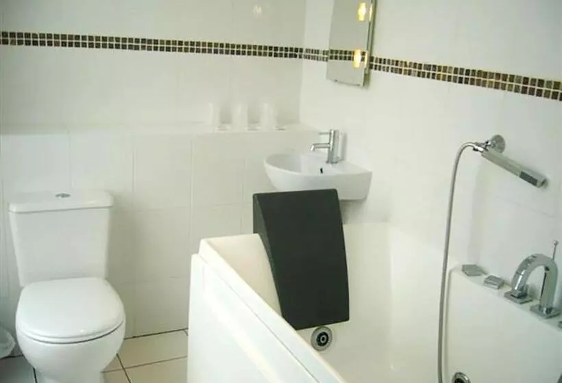 هتل The President