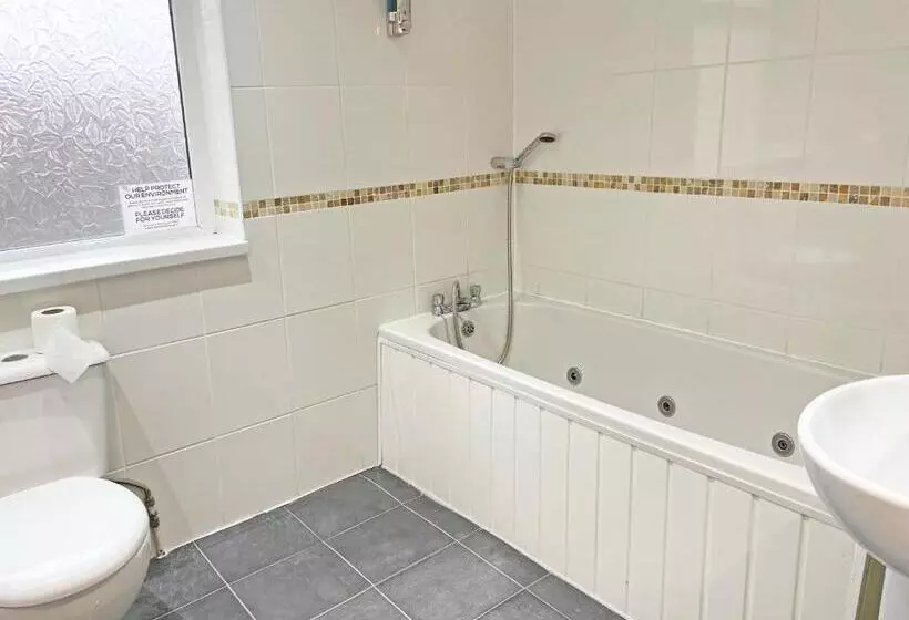 هتل The President