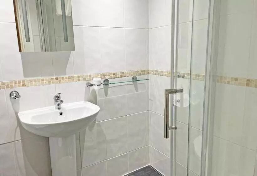 هتل The President