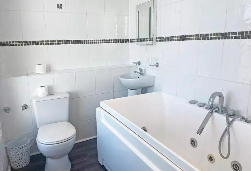 هتل The President