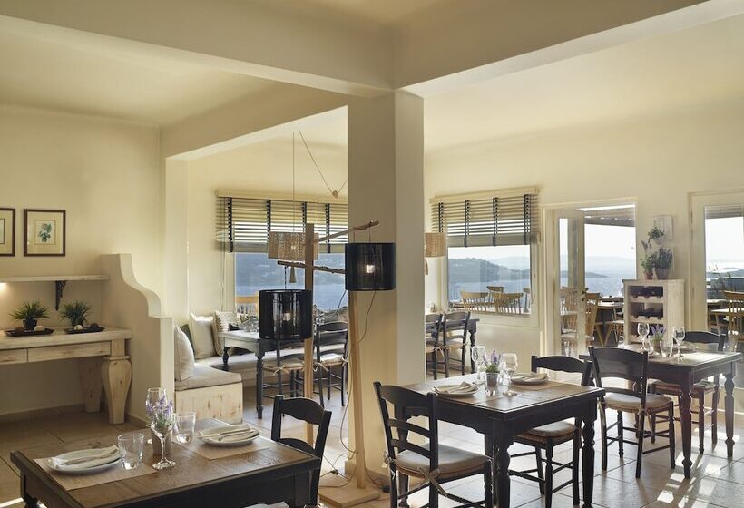 هتل Vencia Boutique