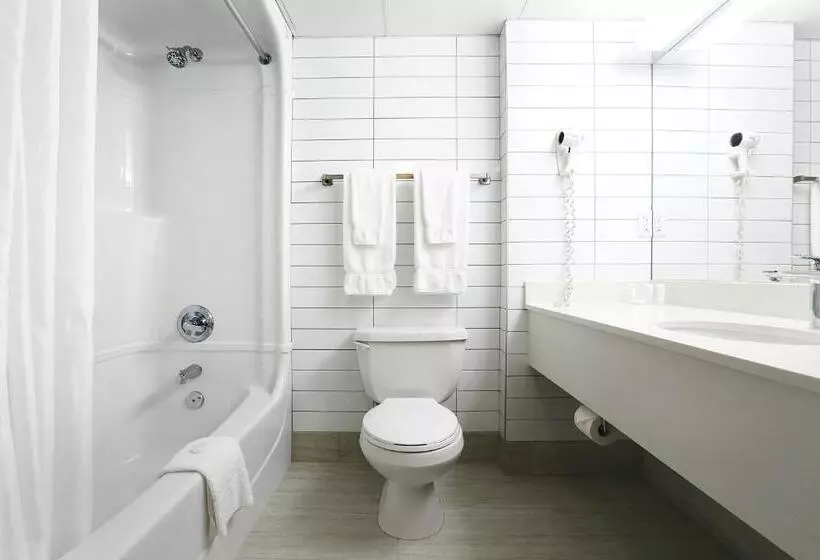 酒店 Canad Inns Destination Centre Club Regent Casino