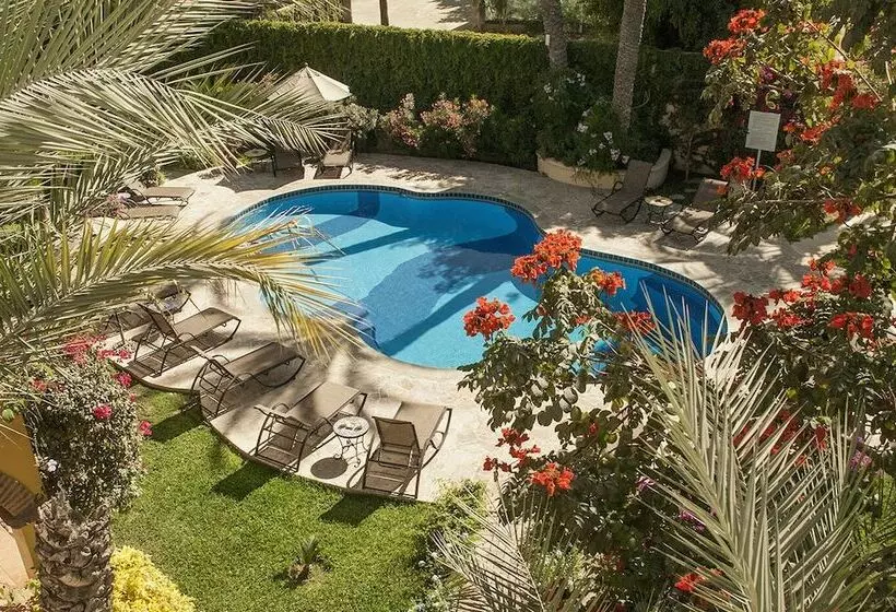 酒店 El Encanto Inn & Suites