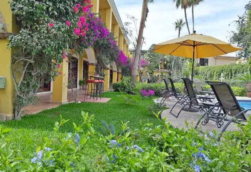 酒店 El Encanto Inn & Suites