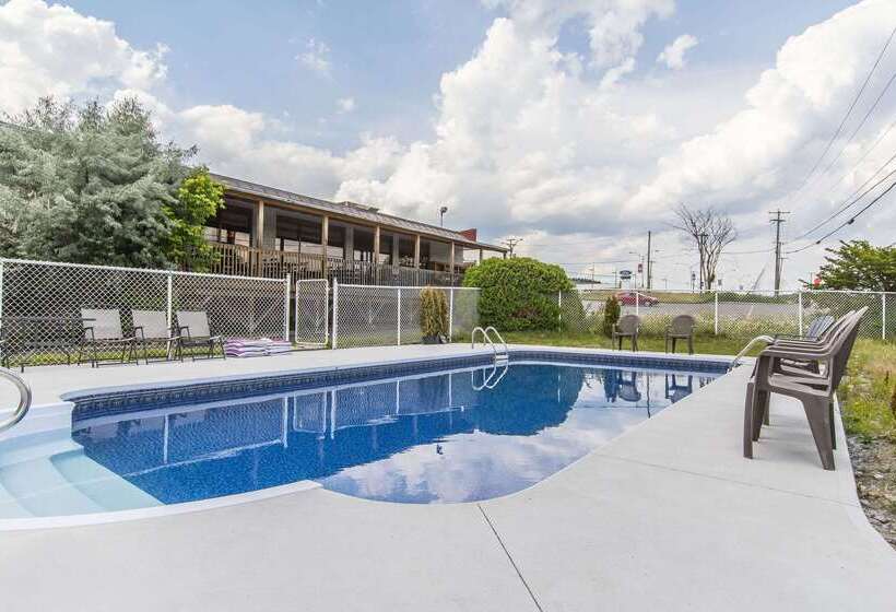 Quality Hotel & Suites