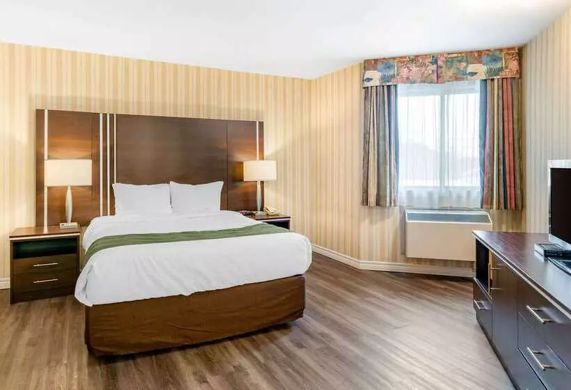 Quality Hotel & Suites