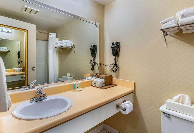 Quality Hotel & Suites