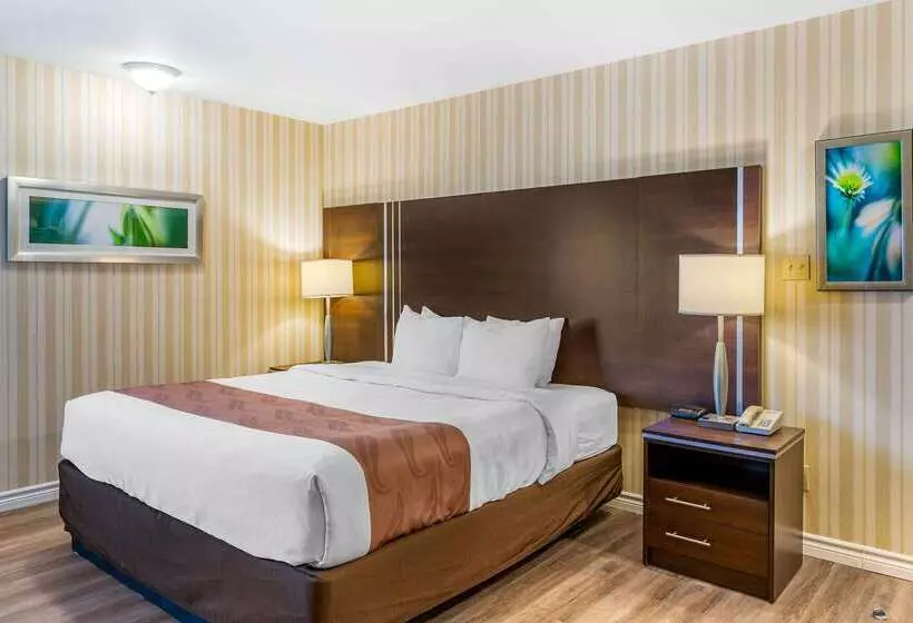 Quality Hotel & Suites