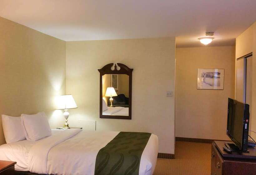 Quality Hotel & Suites