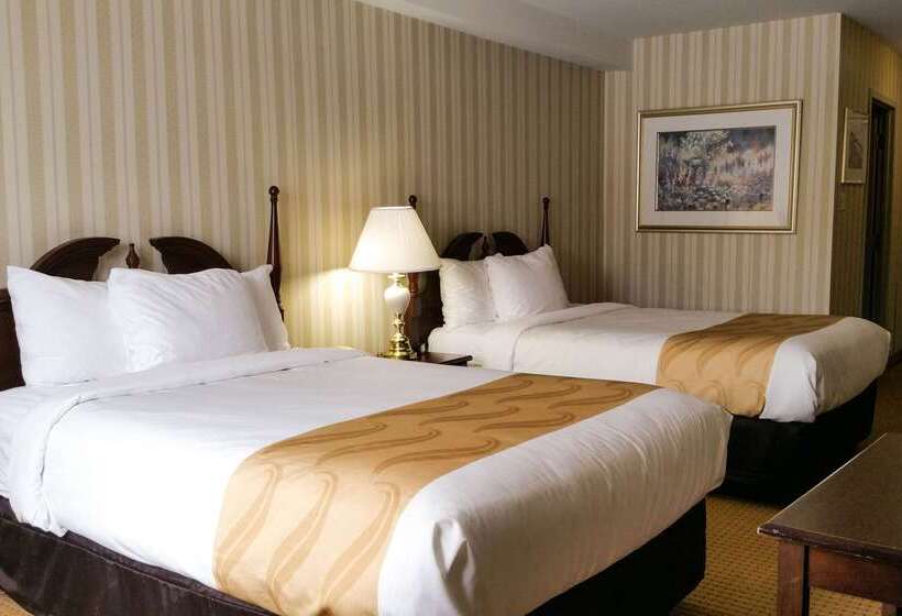 Quality Hotel & Suites