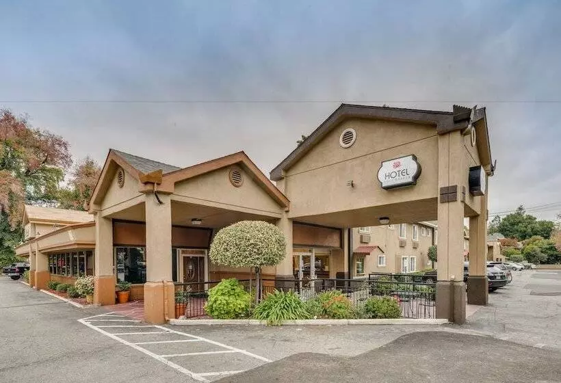 ホテル Rose Garden