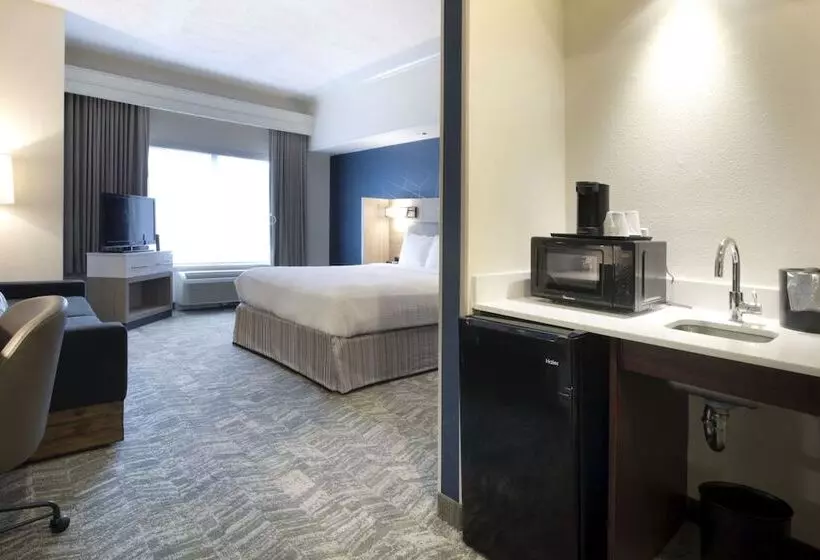 酒店 Springhill Suites Savannah Airport