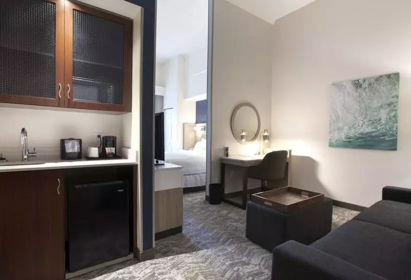 酒店 Springhill Suites Savannah Airport