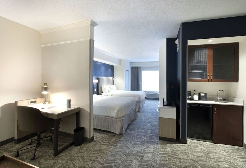 هتل Springhill Suites Savannah Airport