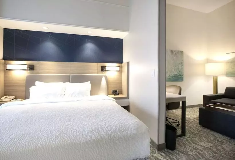 酒店 Springhill Suites Savannah Airport