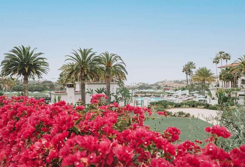 酒店 Waldorf Astoria Monarch Beach Resort & Club