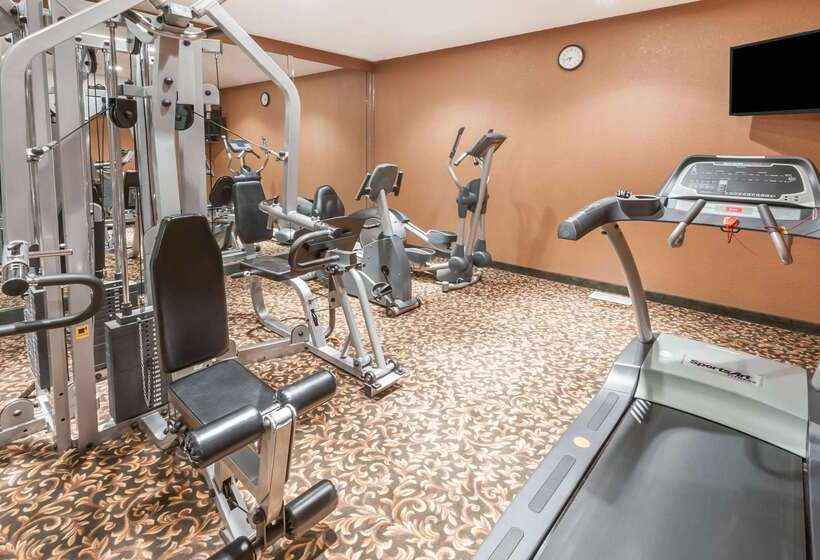 모텔 Super 8 By Wyndham Three Hills Ab