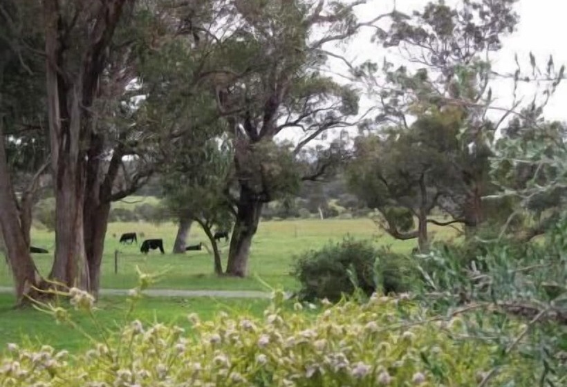 Woody Grange Chalets